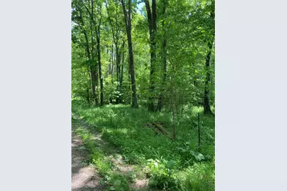 0 Sandy Run Rd, Lower Turkeyfoot Township, PA 15424 - Photo 2