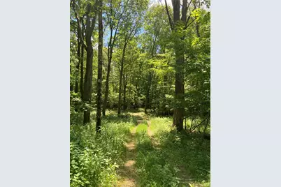 0 Sandy Run Rd, Lower Turkeyfoot Township, PA 15424 - Photo 4