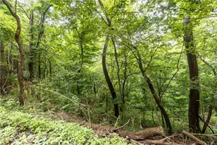 0 Carina Ln, Moon/Crescent Twp, PA 15108 - Photo 6