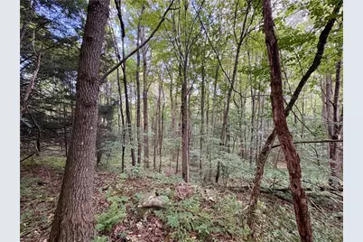 138 Dusty Ln, Jefferson Township, PA 15501 - Photo 22
