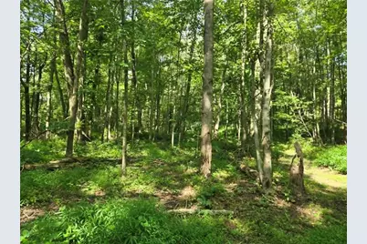 116 Hickory Rd, Fairview Township, PA 16050 - Photo 14