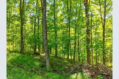 78 Sprowls Rd, Claysville, PA 15323 - Photo 28