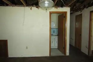 59 Petunia St, Pittsburgh, PA 15210 - Photo 30