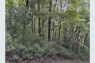 125 Blue Rock Rd & Gameland Rd, Sugarcreek Township, PA 16028 - Photo 26