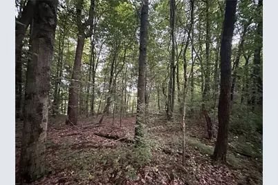 125 Blue Rock Rd & Gameland Rd, Sugarcreek Township, PA 16028 - Photo 16