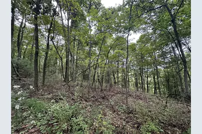 125 Blue Rock Rd & Gameland Rd, Sugarcreek Township, PA 16028 - Photo 28