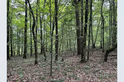 125 Blue Rock Rd & Gameland Rd, Sugarcreek Township, PA 16028 - Photo 22