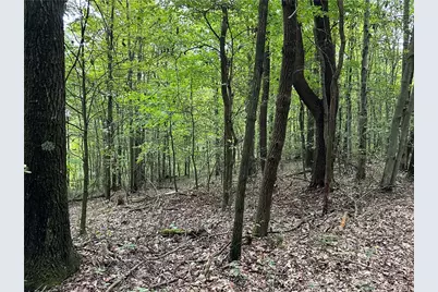 125 Blue Rock Rd & Gameland Rd, Sugarcreek Township, PA 16028 - Photo 6