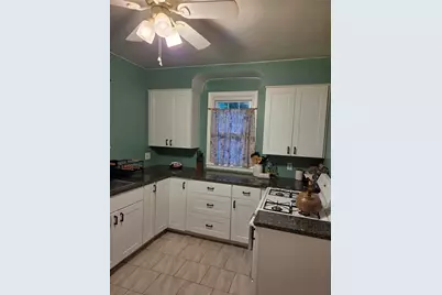 133 Spring Grove, Pittsburgh, PA 15235 - Photo 10