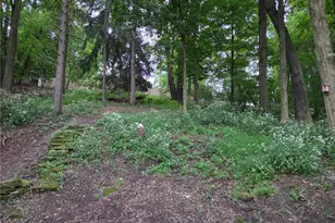 133 Spring Grove, Pittsburgh, PA 15235 - Photo 40