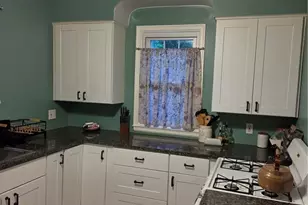 133 Spring Grove, Pittsburgh, PA 15235 - Photo 10