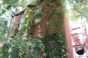 1215 W North Ave, Pittsburgh, PA 15233 - Photo 2