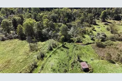 0 Campbell Hollow Road, Petrolia, PA 16050 - Photo 10