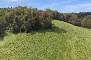 327 Sugar Run Rd, Franklin Township, PA 15370 - Photo 48