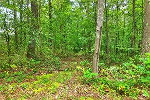 126 Roy Stout Rd, Saltlick Township, PA 15622 - Photo 10