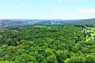 126 Roy Stout Rd, Saltlick Township, PA 15622 - Photo 16