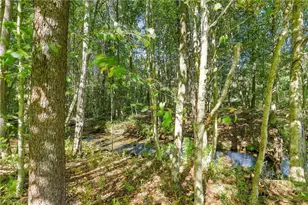 788 Fleegle Rd, Shade Township, PA 15926 - Photo 26