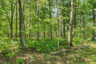 788 Fleegle Rd, Shade Township, PA 15926 - Photo 24