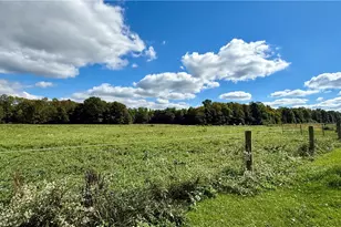 1666 District Rd, Fairview Township, PA 16124 - Photo 46