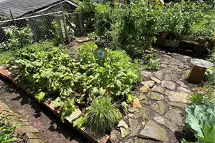 539 N Fairmount St, Pittsburgh, PA 15206 - Photo 26