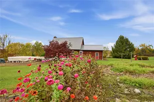 388 Gerber Rd, Wilmington Township, PA 16156 - Photo 42