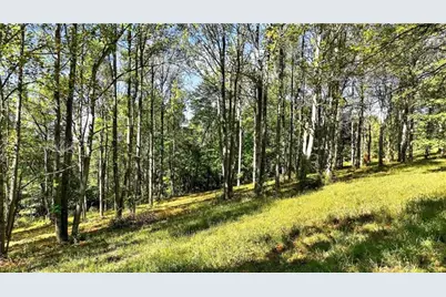 Lot #15 Warne Lane, South Franklin, PA 15301 - Photo 30