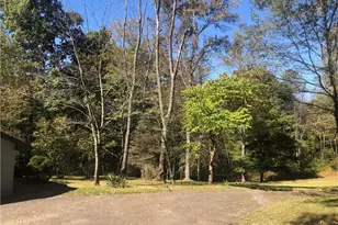 218 Chestnut Ln, Ohiopyle, PA 15421 - Photo 44
