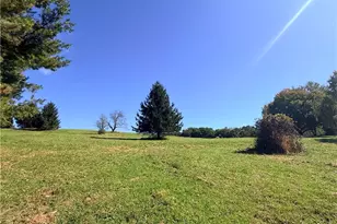 782 Sugar Run Rd, Nottingham, PA 15330 - Photo 38