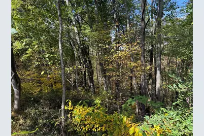 000 Camp Rd, Cowanshanock Township, PA 16249 - Photo 4