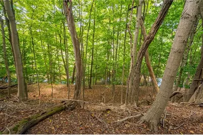 0 Piersol Avenue, Bentleyville, PA 15317 - Photo 6