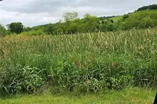 Lot 36-39 Baton Rd, Ligonier Township, PA 15658 - Photo 1