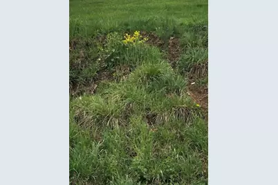 0111 Ridge Rd, South Park, PA 15129 - Photo 8