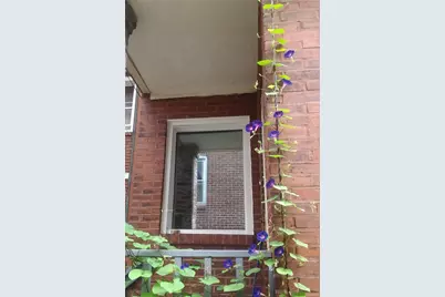 5902 Nicholson St, Pittsburgh, PA 15217 - Photo 36