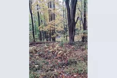0 Popson Rd, Cherryhll Township-Clymer, PA 15765 - Photo 4