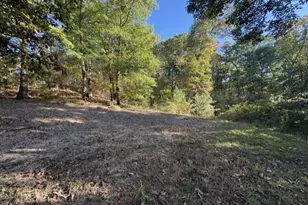 216 Shannon Rd, Raccoon Township, PA 15001 - Photo 40
