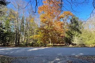 Lot 254 Clear Run Road - Peninsula Estates, Indian Lake Boro, PA 15926 - Photo 1