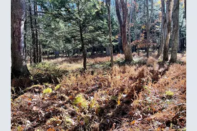 Lot 254 Clear Run Road - Peninsula Estates, Indian Lake Boro, PA 15926 - Photo 12
