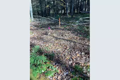 Lot 254 Clear Run Road - Peninsula Estates, Indian Lake Boro, PA 15926 - Photo 18