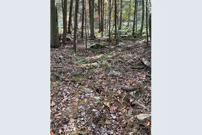 Lot 254 Clear Run Road - Peninsula Estates, Indian Lake Boro, PA 15926 - Photo 14