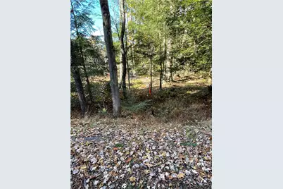 Lot 254 Clear Run Road - Peninsula Estates, Indian Lake Boro, PA 15926 - Photo 22