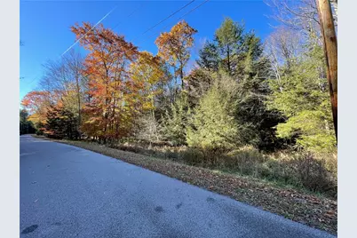 Lot 254 Clear Run Road - Peninsula Estates, Indian Lake Boro, PA 15926 - Photo 6