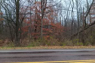 00 Route 217, Derry Township, PA 15627 - Photo 1