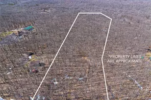 0 Shawnee View Rd, Allegheny Township, PA 15926 - Photo 1