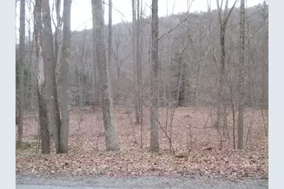 00 Four Mile Run Road, Ligonier Boro, PA 15658 - Photo 1