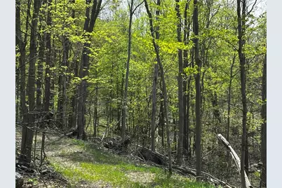 26115 Jumonville Rd, North Union Township, PA 15445 - Photo 1