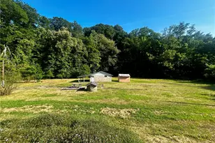 171 Brownsville Rd, Fayette City, PA 15438 - Photo 1