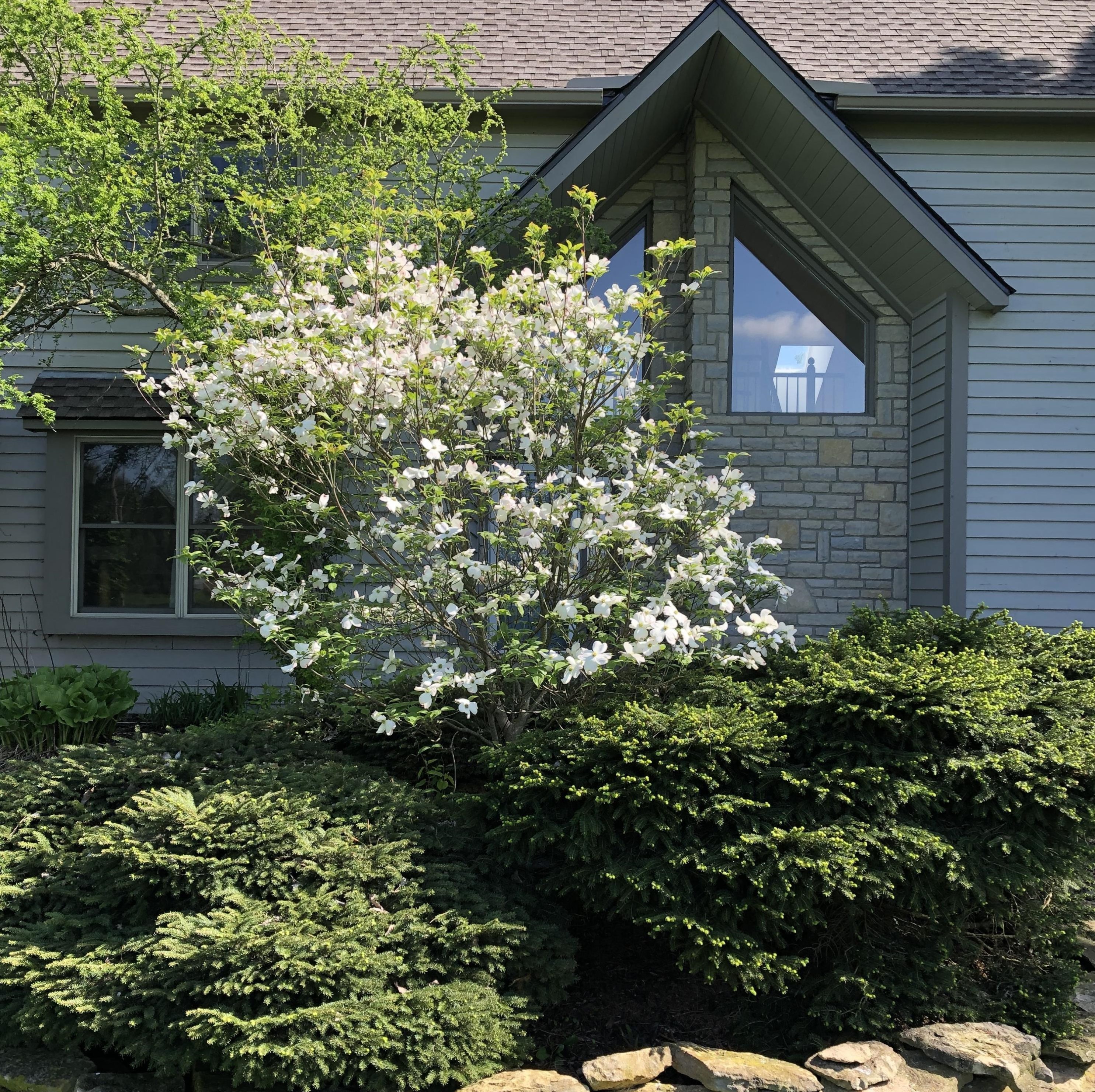 7825 Morris Rd, Hilliard, OH 43026-9483