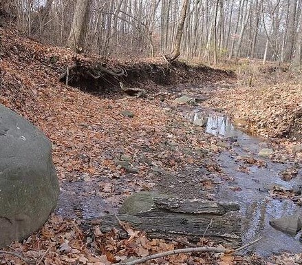 1387 Orchard Park Rd, Mansfield OH  44904-1316 exterior