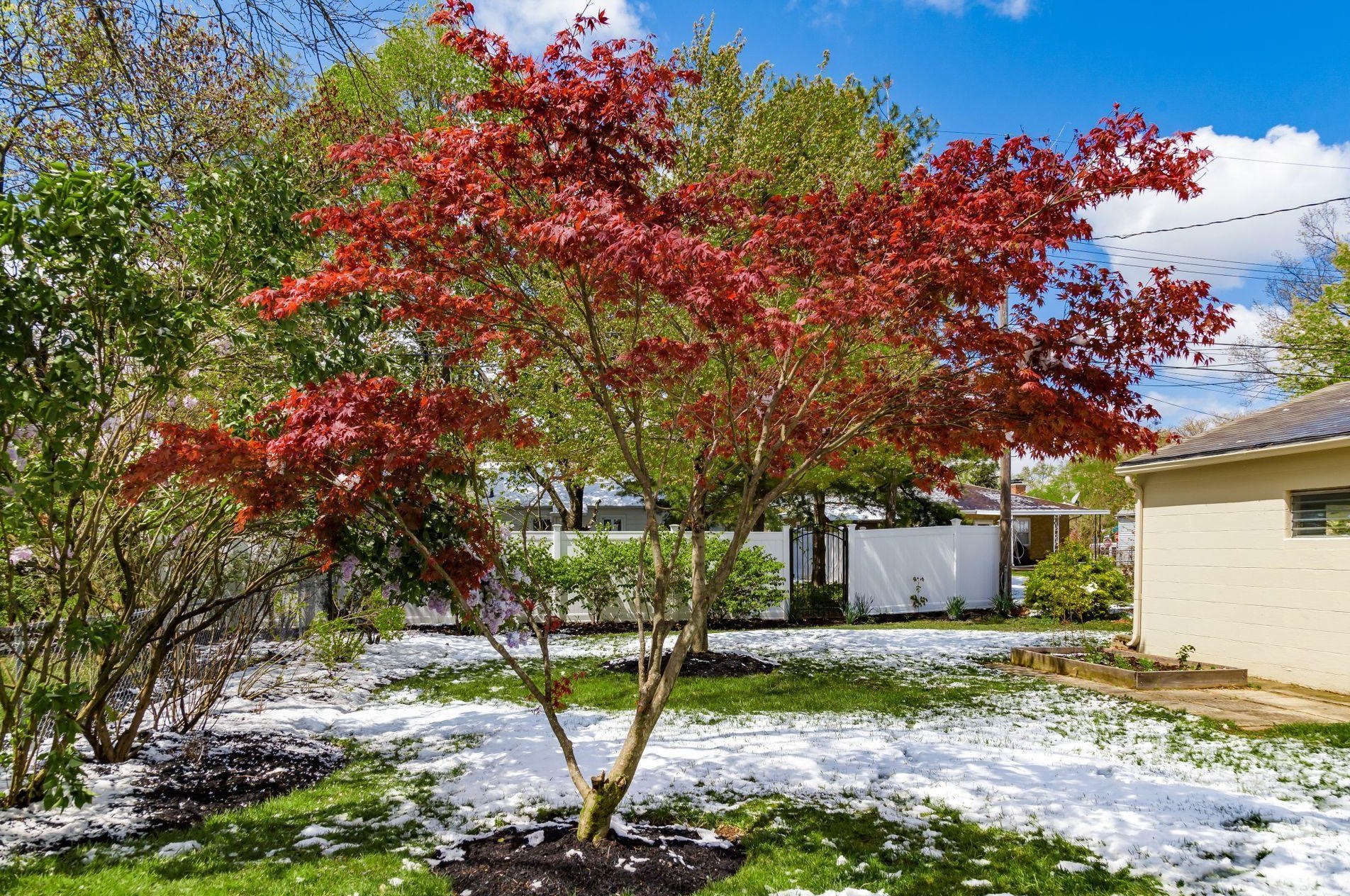 3259 Kenyon Rd, Columbus OH  43221-1809 exterior