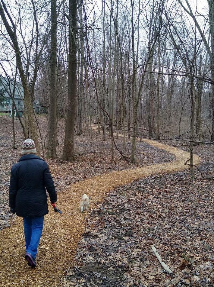 4108 Blendon Grove Way, Columbus OH 43230-9830 exterior